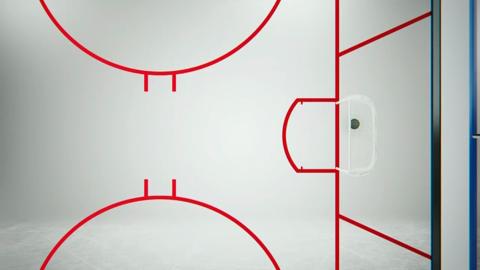 Hockey 101: The Playing...