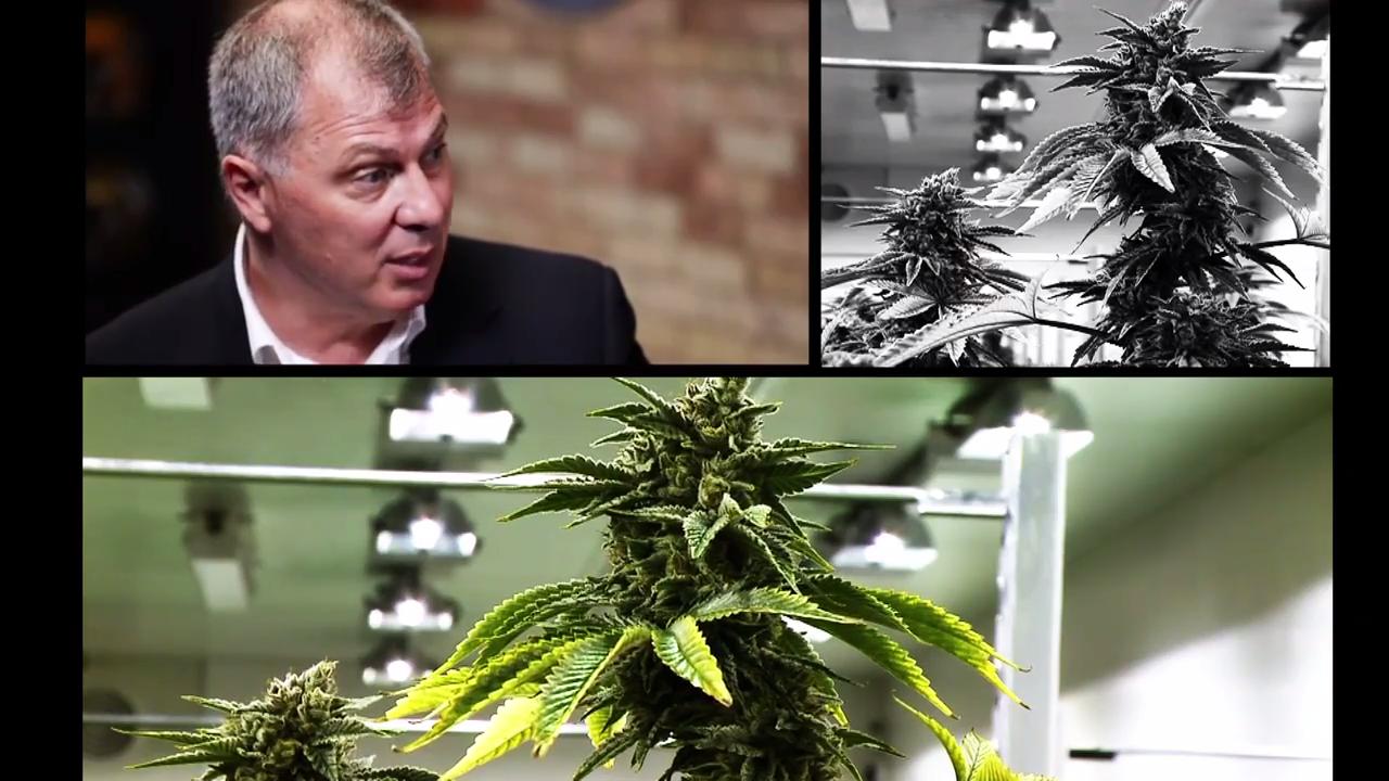 Cannabis The Cfl Randy Ambrosie On What Legalization